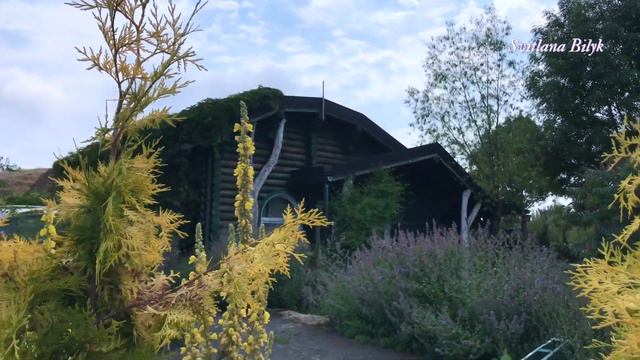 Як казково провести вихідні Пора лаванди #якпровестивихідні #вихідні #лавандовеполе #світнавколомен смотреть онлайн