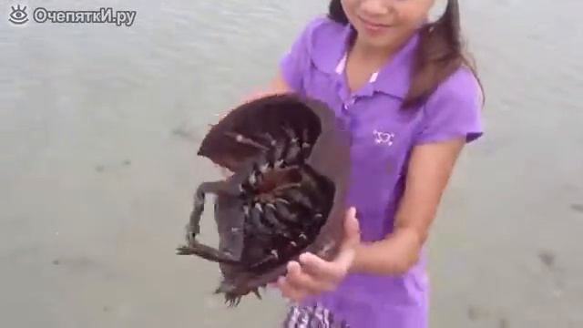 Девочка и мечехвост смотреть видео прикол 112 смотреть онлайн