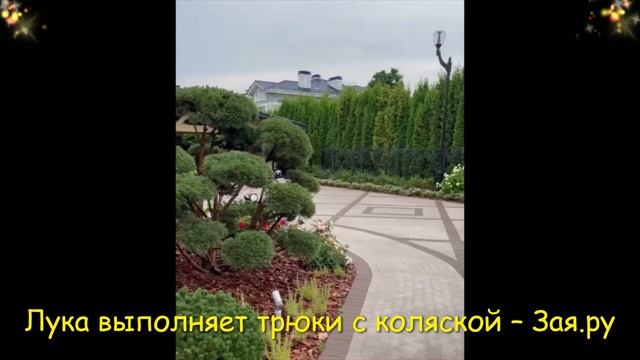 Семилетний сын Альбины Джанабаевой устроил гонки с пустой коляской. Новые видео 2021 смотреть онлайн