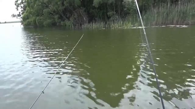 Ловля щуки, с братом в одной лодки, на микроджиг. смотреть онлайн