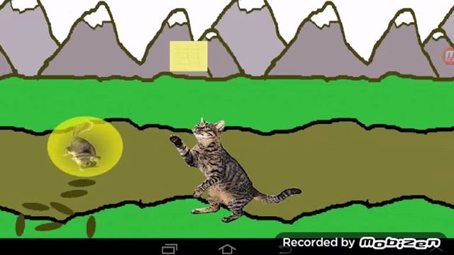 Too stupid (chinchilla run) #1 and only 1 смотреть онлайн