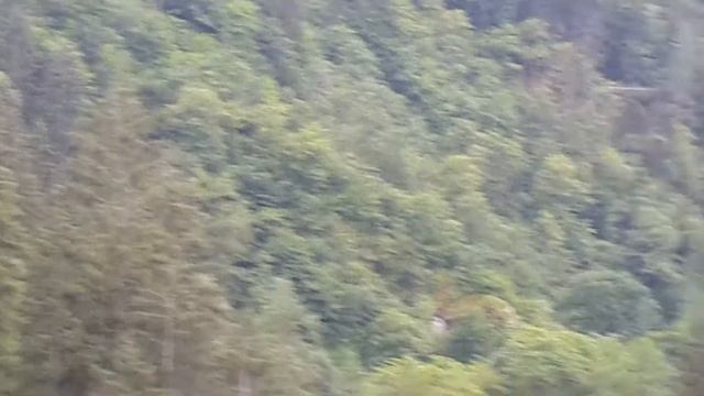 Вверх по лестнице, ведущей вниз(2) смотреть онлайн