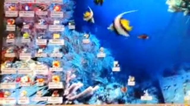 My Desktop смотреть онлайн
