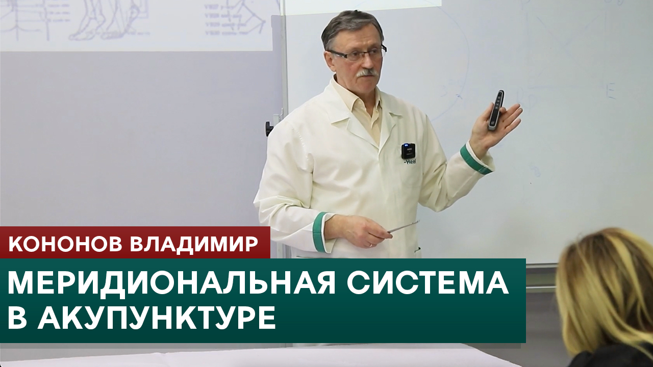 Меридиональная система в акупунктуре. Кононов Владимир смотреть онлайн