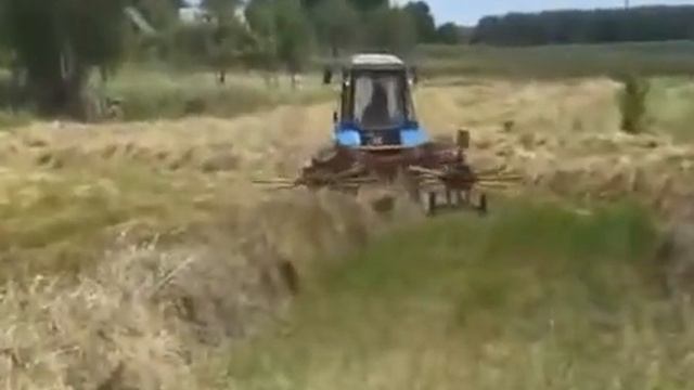 Грабли-ворошилка роторная ГВР-6 смотреть онлайн