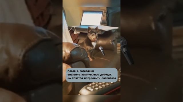 способ потроллить оппонента в судебном заседании))) смотреть онлайн