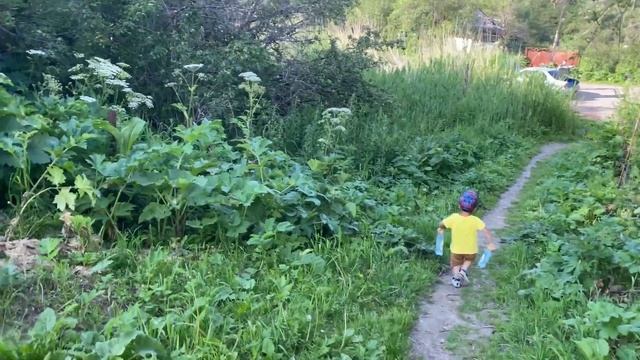 Переезд в кз. Дачи в горах какая красота. Родник в горах. Новый друг. смотреть онлайн