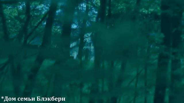 Ceрийник, который испытывал к пожилым дамам нездоровое влечение смотреть онлайн