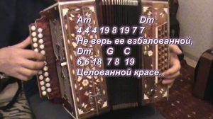 Не выбирай красивую (гармонь)