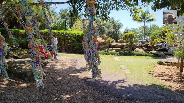 Записки из путешествий. Флорида. Музей Дали. смотреть онлайн