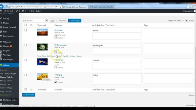 Nextgen Gallery смотреть онлайн