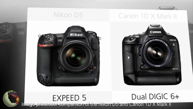 Nikon D5 VS Canon 1D X Mark II смотреть онлайн