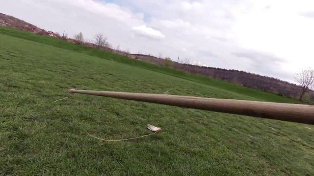 Английски Сетер 2,5 мес.(3) смотреть онлайн