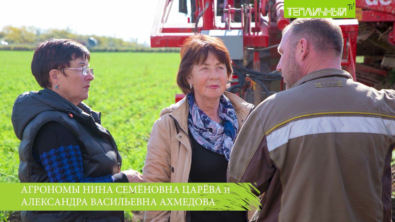 Рабочие будни агрономов открытого грунта совхоза "Тепличный" смотреть онлайн