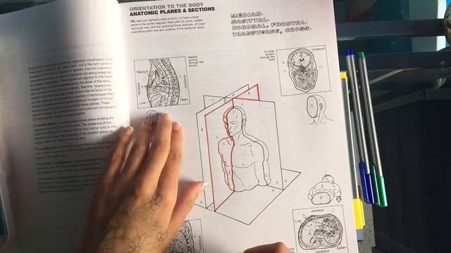 Color with me! | My Anatomy Coloring Book ? смотреть онлайн