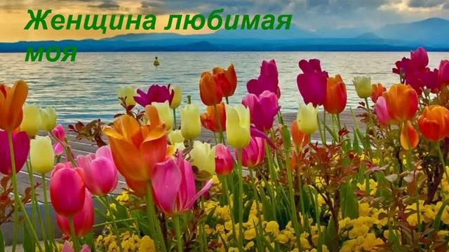 Любимый ШАНСОН !Для любимой женщине! 2024! смотреть онлайн