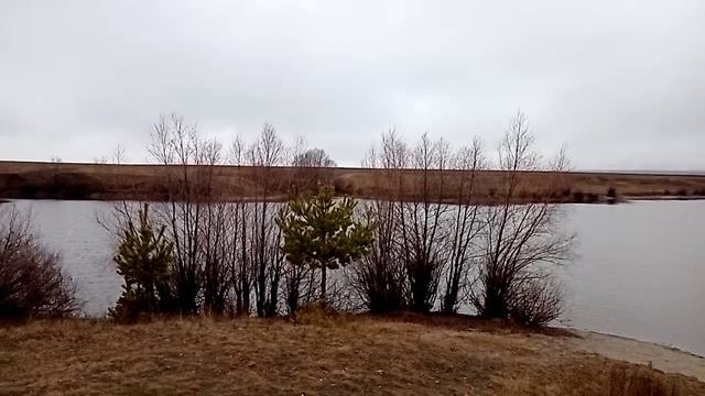 Каменноовражский пруд. Неверкинский район. Ноябрь 2023. смотреть онлайн