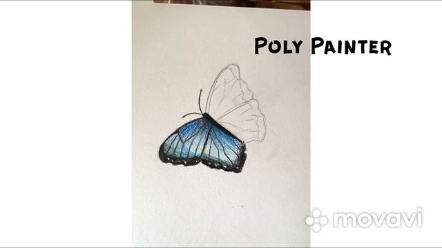 РИСУЕМ БАБОЧКУ МОРФО ЦВЕТНЫМИ КАРАНДАШАМИ |poly painter смотреть онлайн