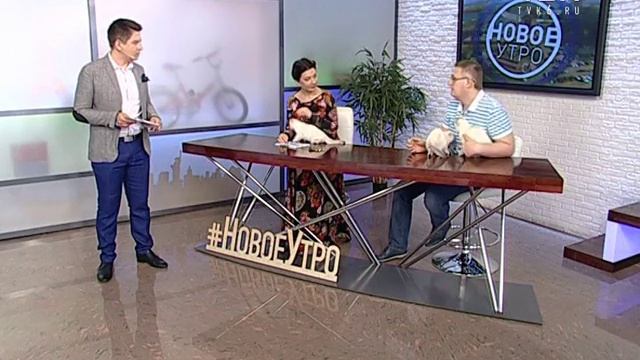 Стоит ли стричь домашних животных летом? смотреть онлайн