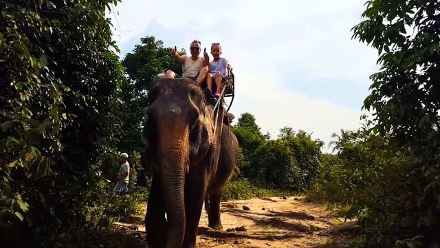 Катаемся на слонах и у мамы истерика смотреть онлайн