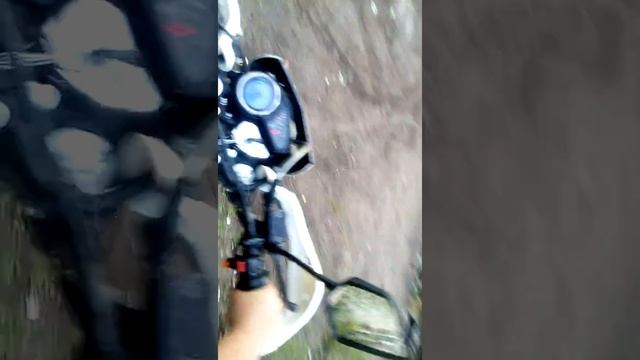 Шоколадные зайцы смотреть онлайн