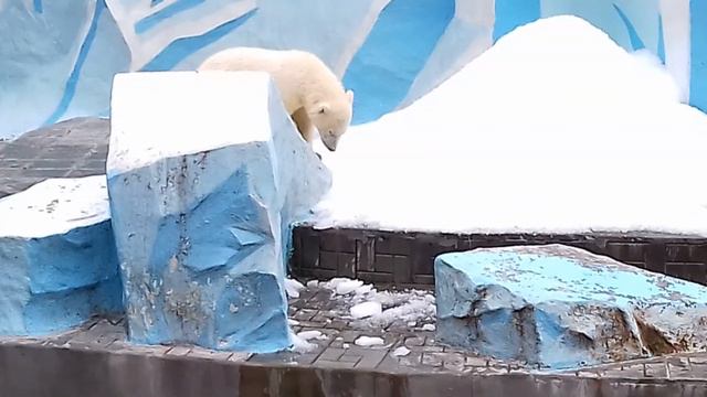 Герда и малыши... (из неопубликованного 08.07.19 г.) смотреть онлайн