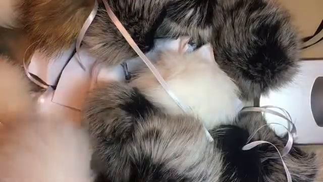 Распаковка посылки/ МНОГО ПОМПОНОВ смотреть онлайн