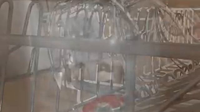 Whirlpool Aquasteam 6th sence diswasher ADG 8920 presentation смотреть онлайн