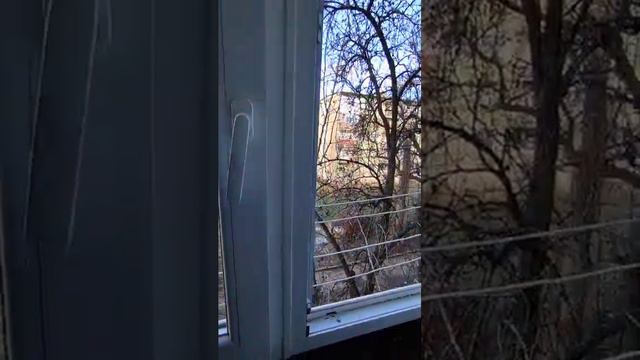 Продажа квартиры 2к. г. Кривой Рог, ул. Кропивницкого 59. смотреть онлайн