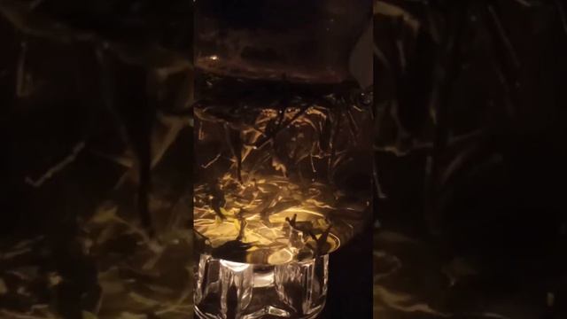 Аудиозапись чайной встречи про 21 гексаграмму Книги Перемен И-Цзин смотреть онлайн