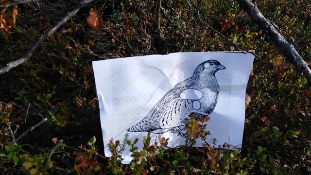 Кучность дроби на мишени приближенной к реальности / Почему бывают подранки ? смотреть онлайн