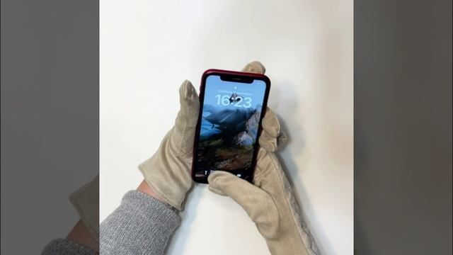 JDF16-3 FABRETTI Перчатки жен. 100%полиэстер,90%полиэстр/10%эластан