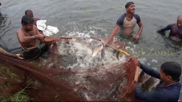 Casting Nets, Catching Memories: Our Unforgettable Fishing Expedition смотреть онлайн