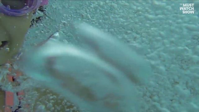 Back To School Shopping Supplies: Top Back To School Trends In 2022 смотреть онлайн