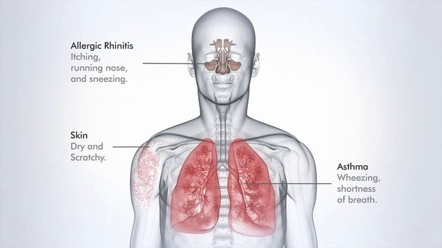 DYSON Humidificateur d'air AM10 - BUT смотреть онлайн