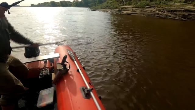ЛОВИМ МОНСТРОВ в Сибирской глуши | Так деревнях рыбу готовят! Рыбалка 2022. С Альфа банком. смотреть онлайн