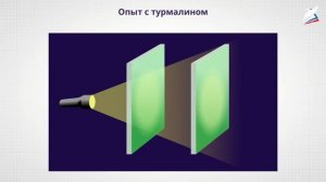 Поляризация света. Корпускулярная и волновая теории света