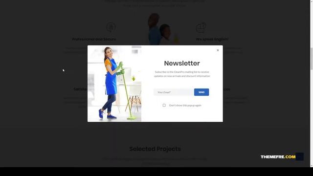 Clerina - Cleaning Services WordPress Theme 10 cleaning company Website Builder смотреть онлайн