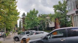 В поисках магазина Континент и столовой номер один. Абхазия, Гагра