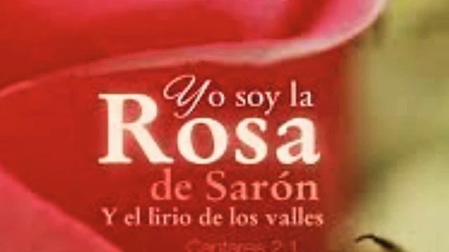 LA ROSA DE SARON?//CUAL ES EL SIGNIFICADO BÍBLICO //SARON