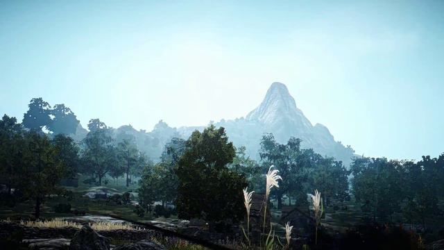 Black Desert Graphics zoom TEST смотреть онлайн