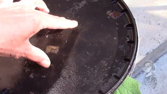 ГУСЕНИЦЫ НА КАЛИНЕ! СРОЧНО ПРИНИМАЮ МЕРЫ! смотреть онлайн