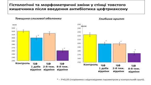 07. Доклад Путникова А. «Комплексная оценка отдаленных последствий использования цефтриаксона» смотреть онлайн