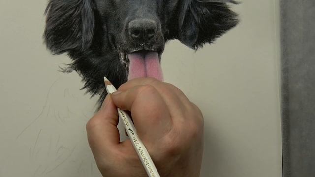 How to Draw Highlights on Black Fur | Realtime Tutorial смотреть онлайн