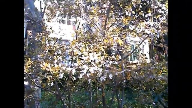 Весна 23.03.2015 смотреть онлайн