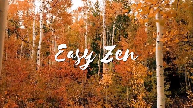 MEDITACIÓN PARA DORMIR PROFUNDAMENTE | INSOMNIO | RELAJACIÓN | LIMPIEZA EMOCIONAL | ❤ EASY ZEN смотреть онлайн