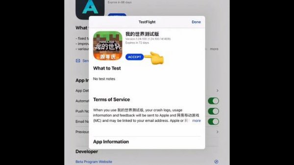 New Install Rare TestFlight Apps iOS 15 (Minecraft)CN