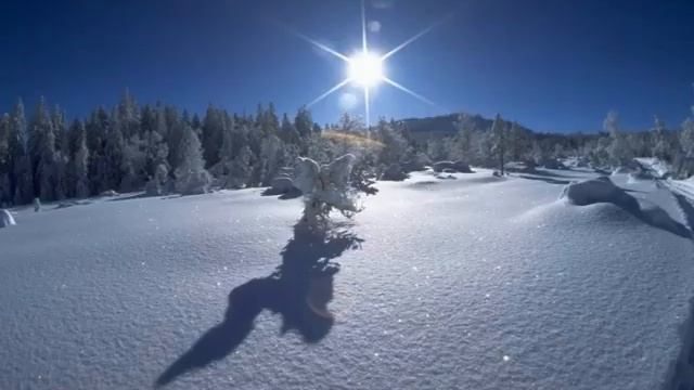 Александр Пушкин "Зимнее утро" (Мороз и солнце, день чудесный) смотреть онлайн