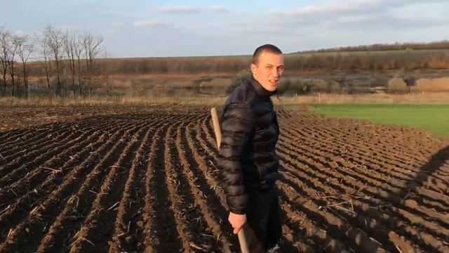 А где же всходы?? Обзор озимой пшеницы по технологии Strip-till смотреть онлайн