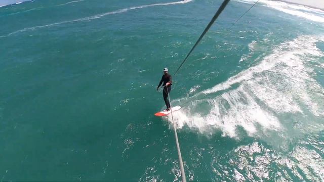 Surfboard Review - Appletree Malus Domestica смотреть онлайн